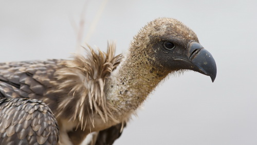 Спорим, вы не знали