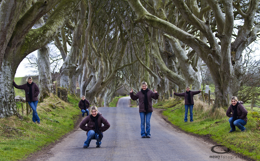 Древесный тоннель – аллея из буков в Ирландии (19 фото)