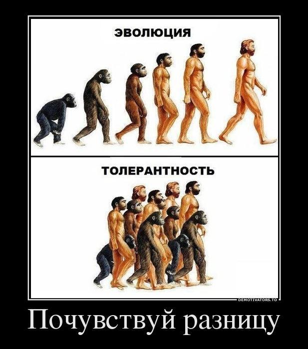 Демотиваторы (63 фото)