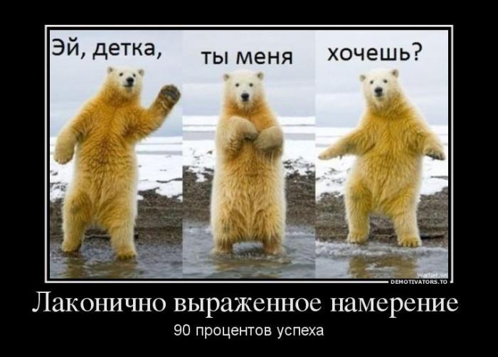 Демотиваторы (63 фото)