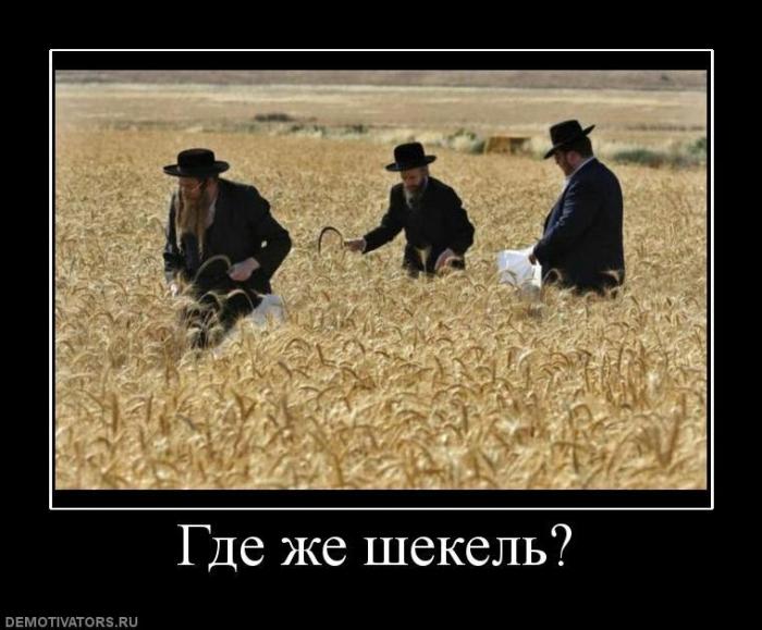 Демотиваторы (63 фото)