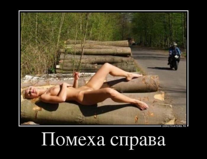 Демотиваторы (63 фото)