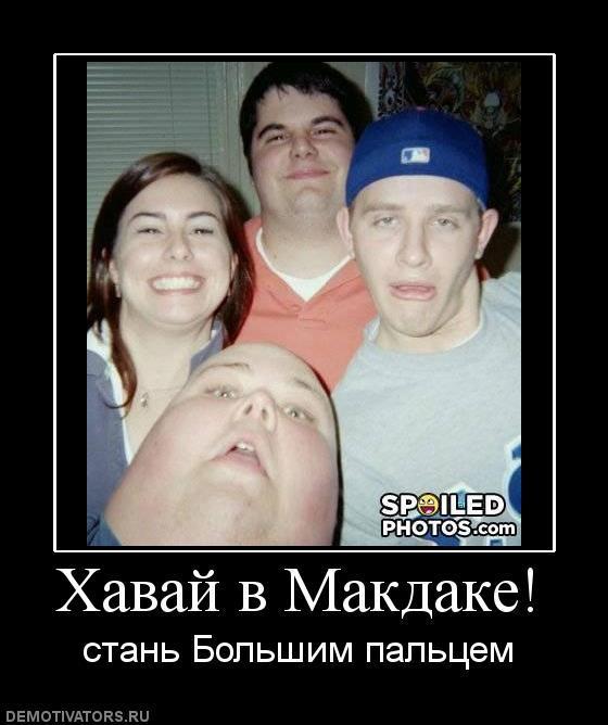 Демотиваторы (63 фото)