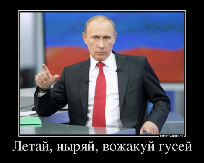 Демотиваторы (63 фото)