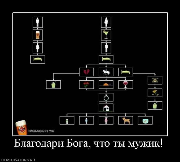 Демотиваторы (63 фото)