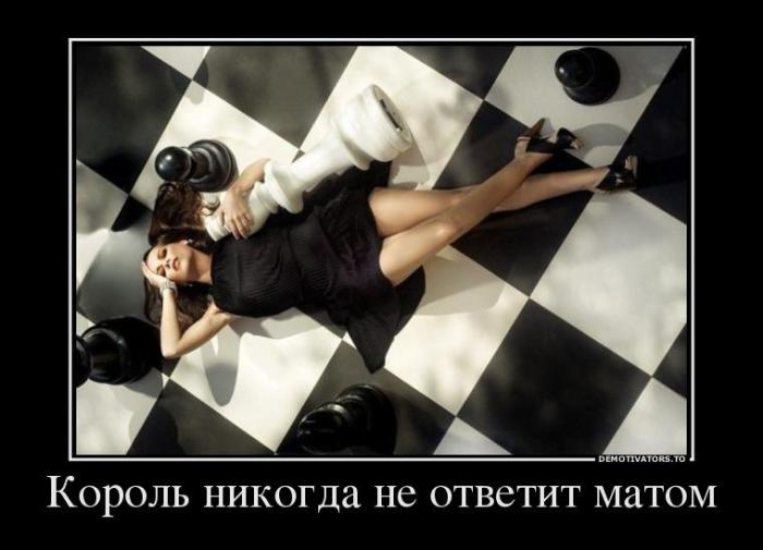 Демотиваторы (63 фото)