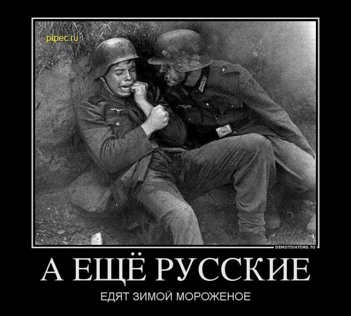 Демотиваторы (63 фото)