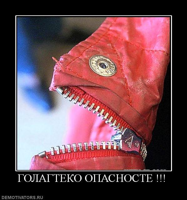 Демотиваторы (63 фото)