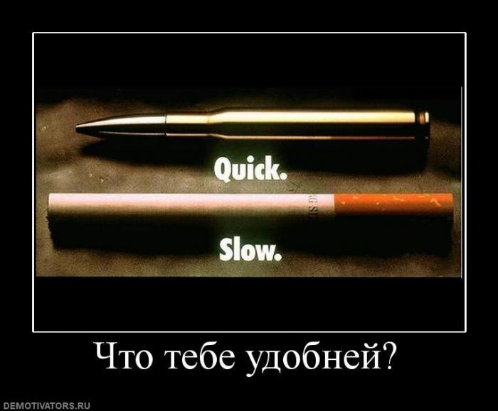 Демотиваторы (63 фото)