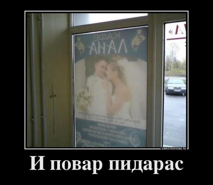 Демотиваторы (63 фото)