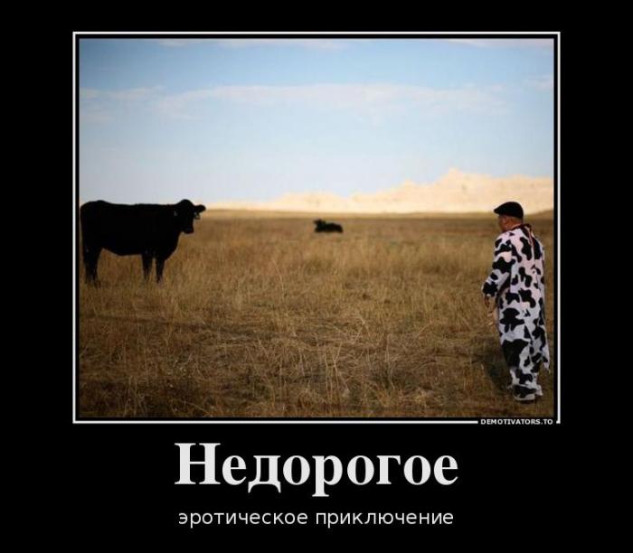 Демотиваторы (63 фото)