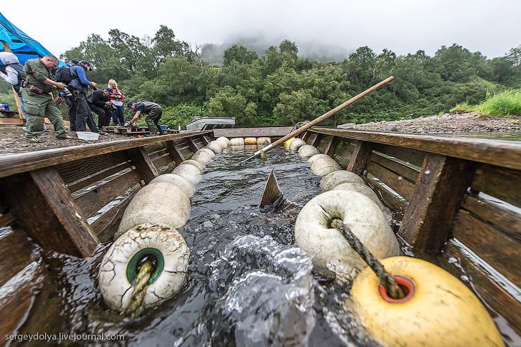 Производство лосося на Камчатке