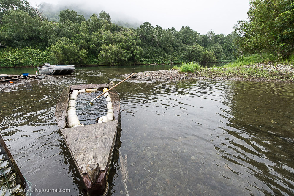 Производство лосося на Камчатке