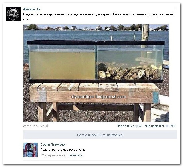 Смешные комментарии из социальных сетей