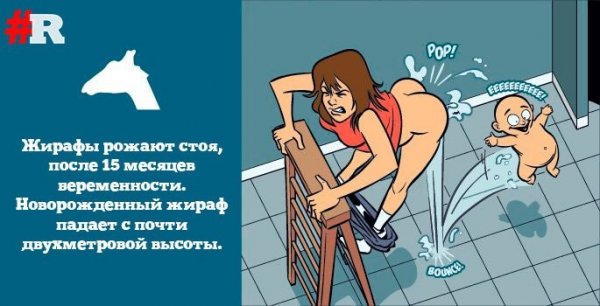 Если бы люди рожали как животные