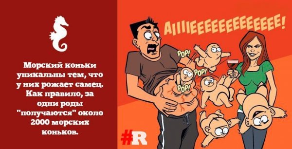 Если бы люди рожали как животные