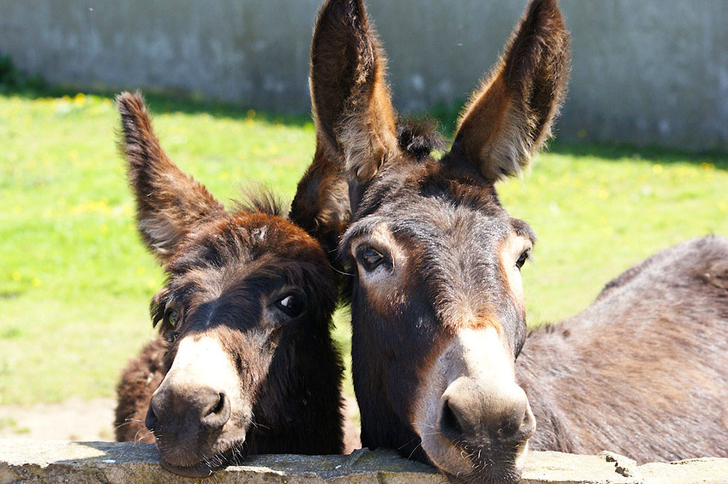 13 фактов о самолётах (13 фото)