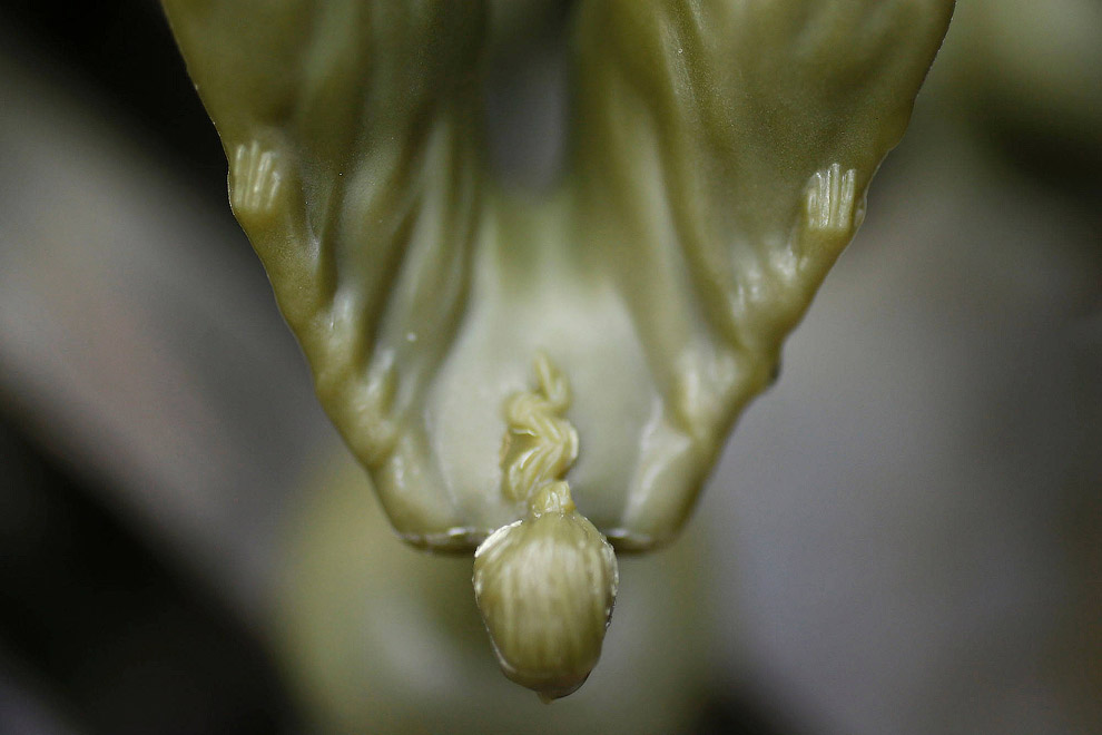 Как делают символ легендарной марки автомобилей Rolls-Royce