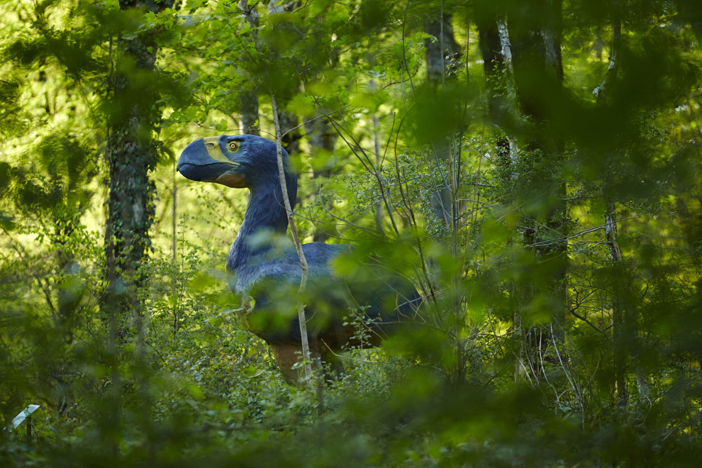 Прогулка по швейцарской границе