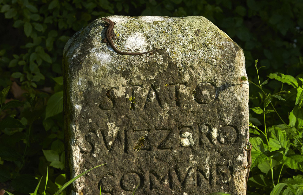 Прогулка по швейцарской границе