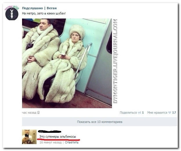 Смешные комментарии из социальных сетей