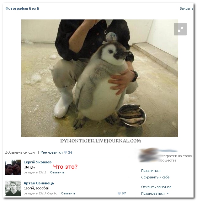 Смешные комментарии из социальных сетей