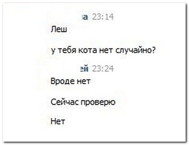 Смешные комментарии из социальных сетей