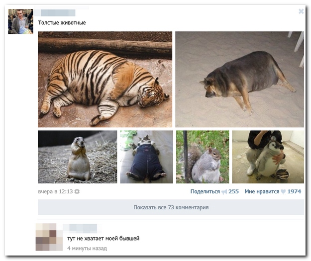 Смешные комментарии из социальных сетей