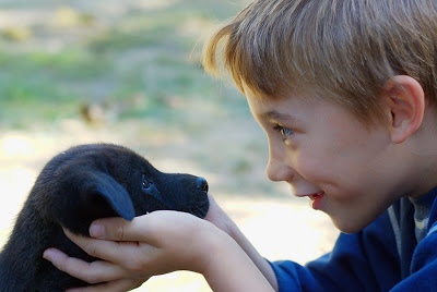 Правильный зрительный контакт