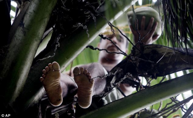 Человек с 24 пальцами