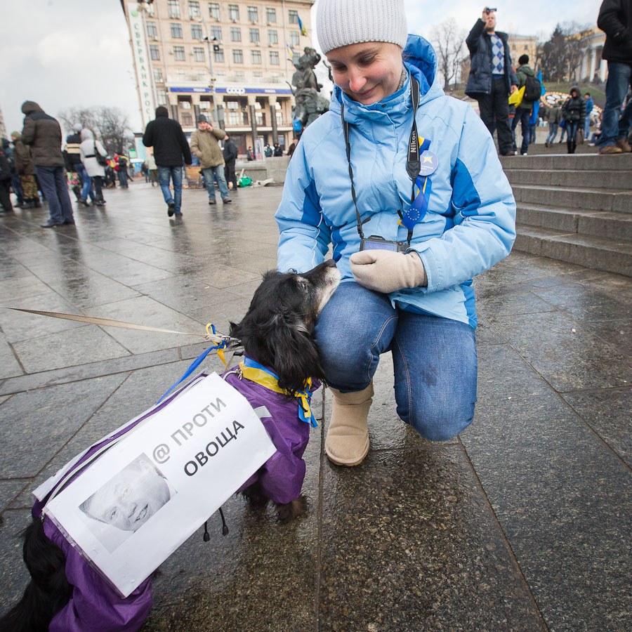 Евромайдан. Ситуация в Киеве