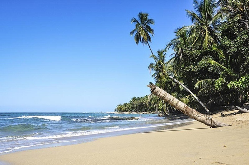 25 стран, в которых легче всего забить косячок