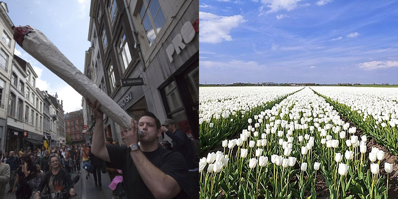 25 стран, в которых легче всего забить косячок