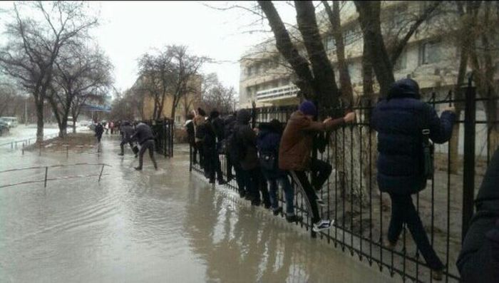 Порция картинок