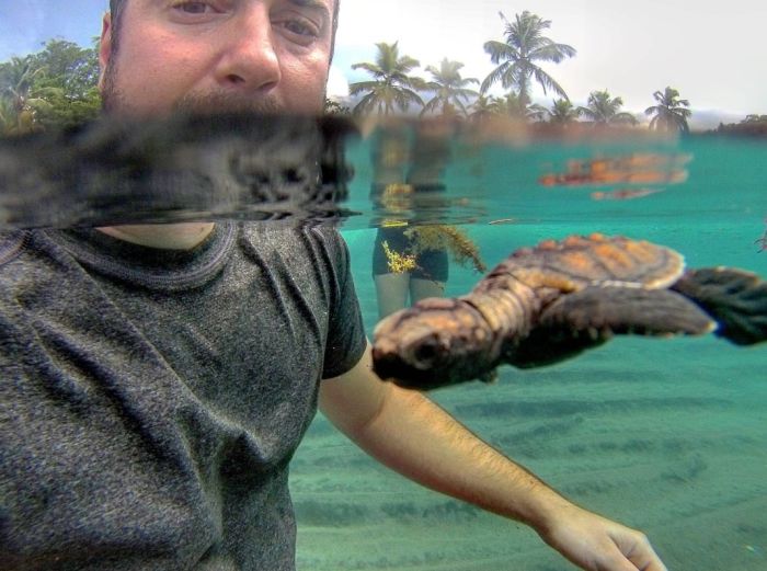 Порция картинок