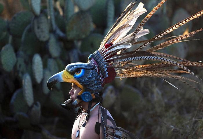 Порция картинок