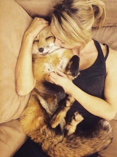 Порция картинок