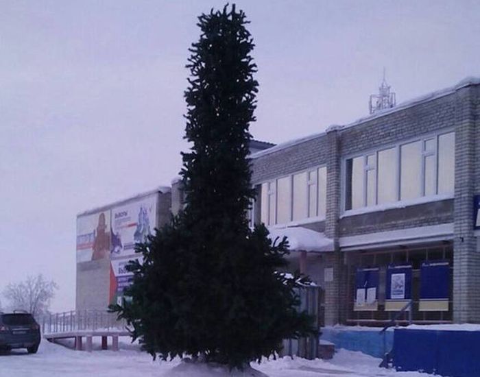 Порция картинок