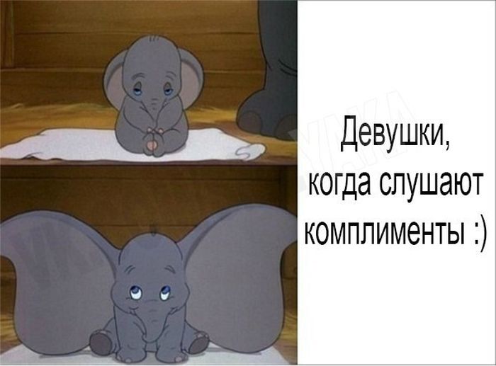 Порция картинок