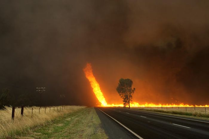 Порция картинок