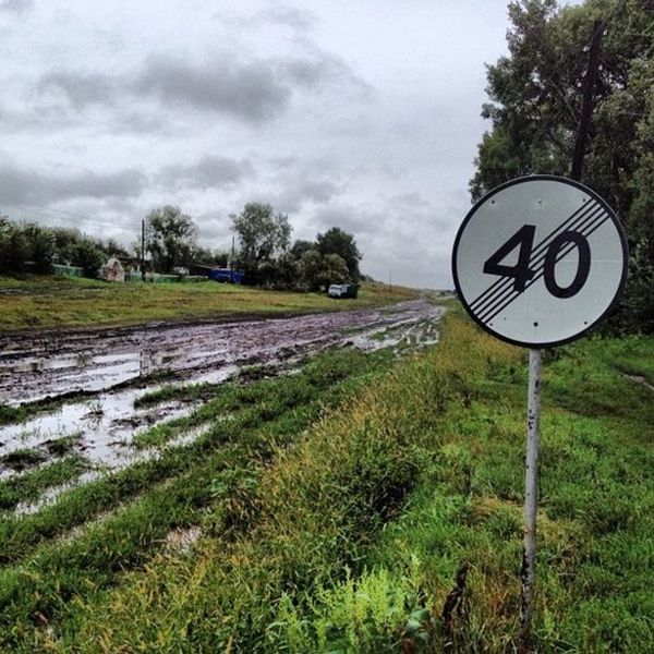 Порция картинок