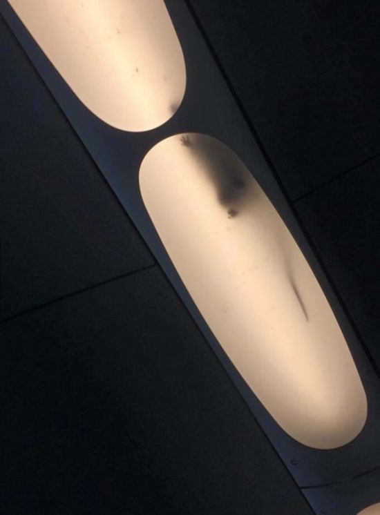 Порция картинок