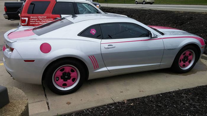 Порция картинок