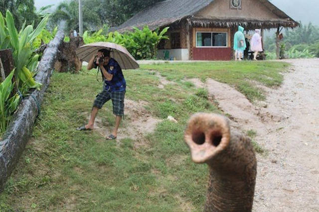 Фотографии, которые скажут больше чем слова