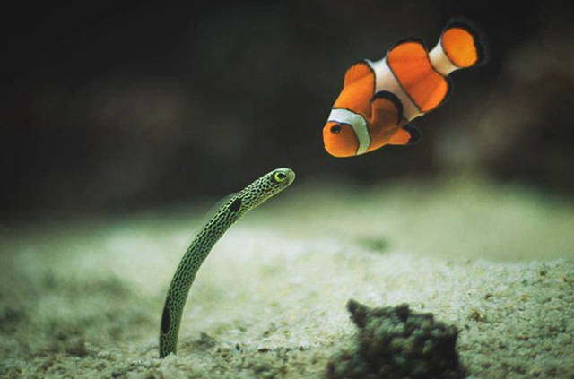 Фотографии, которые скажут больше чем слова