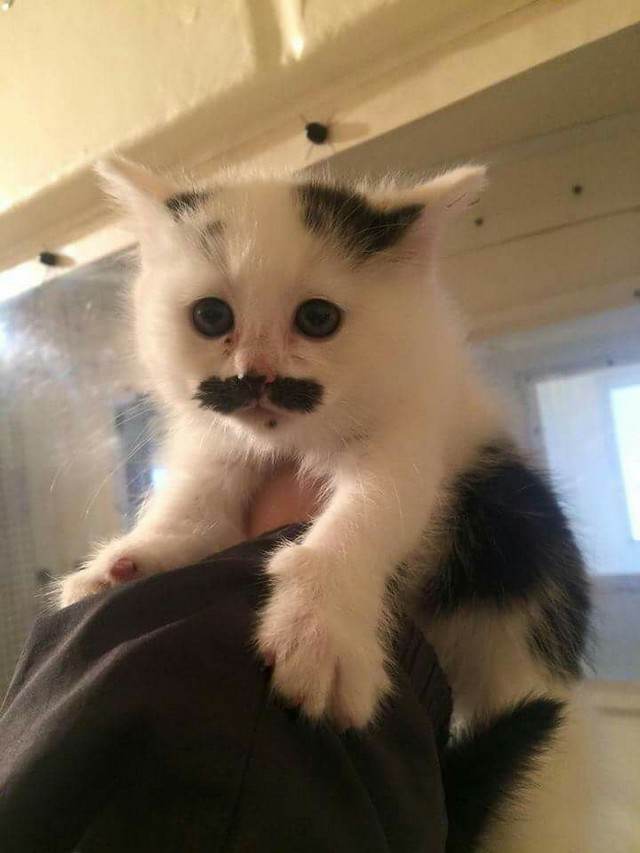 Фотографии, которые скажут больше чем слова