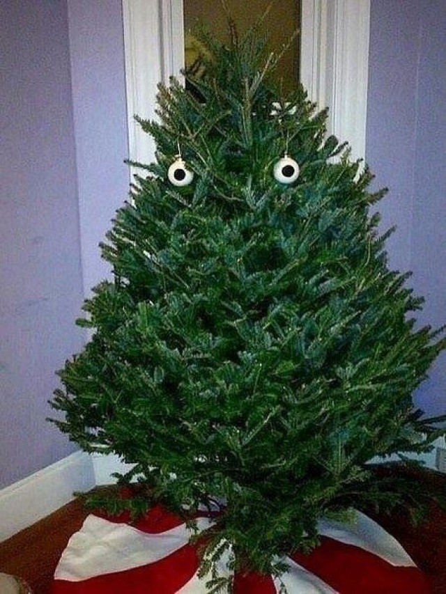 Фотографии, которые скажут больше чем слова