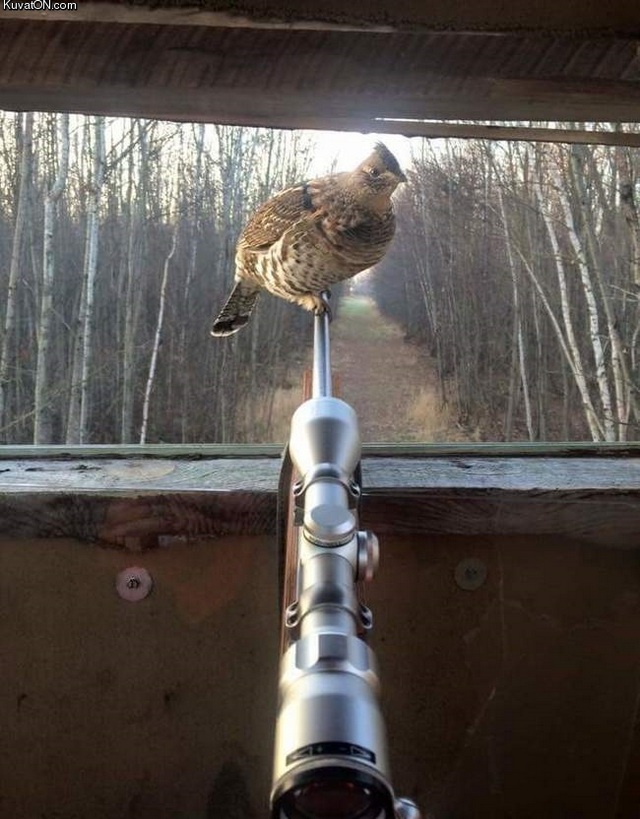 Фотографии, которые скажут больше чем слова