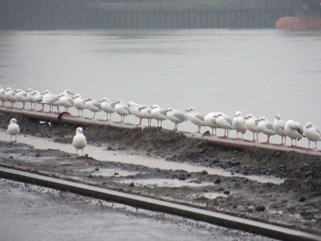 Фотографии, которые скажут больше чем слова