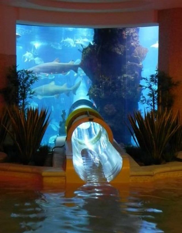 Фотографии, которые скажут больше чем слова